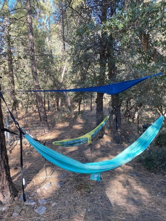 Willa National Forest Retreat - Relax And Recharge! Two Night Minimum Prescott Zewnętrze zdjęcie